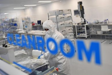 Il dialogo segreto tra sistema immunitario e microbiota