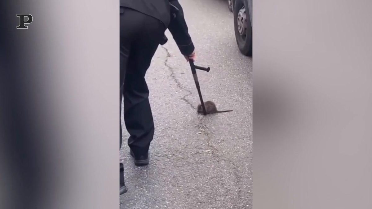 Galleria foto 'La Roma vola in finale di Conference League: il boato dello stadio | Video' - foto 2