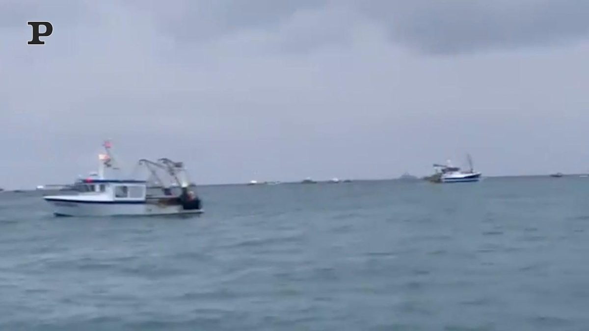 Galleria foto 'Navi Raptor colpite e distrutte dai droni ucraini | Video' - foto 4