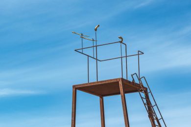 Il dialogo impossibile di Segesta