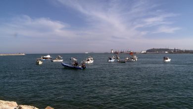 Putin vuole bombardare Piombino, parola di grillina