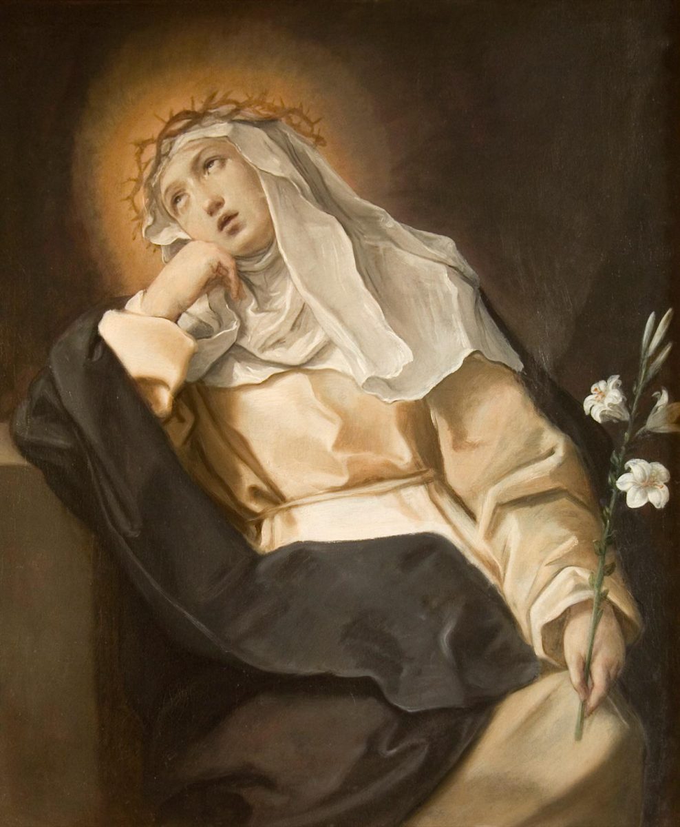 L’istinto di un cacciatore di bellezza