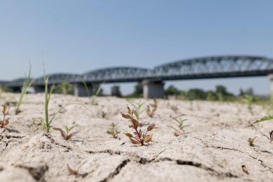 Siccità: l’Italia senza acqua, regione per regione