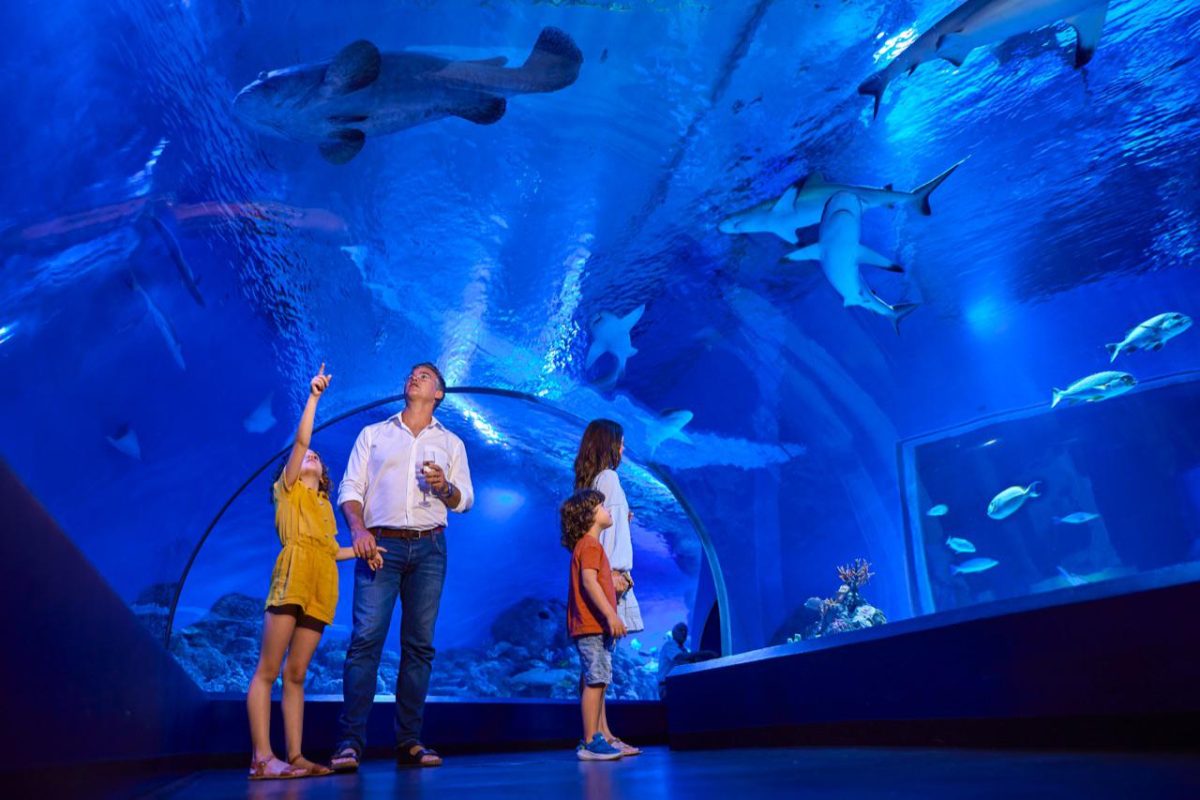 Galleria foto 'Australia, voglia di lontananza' - foto 4