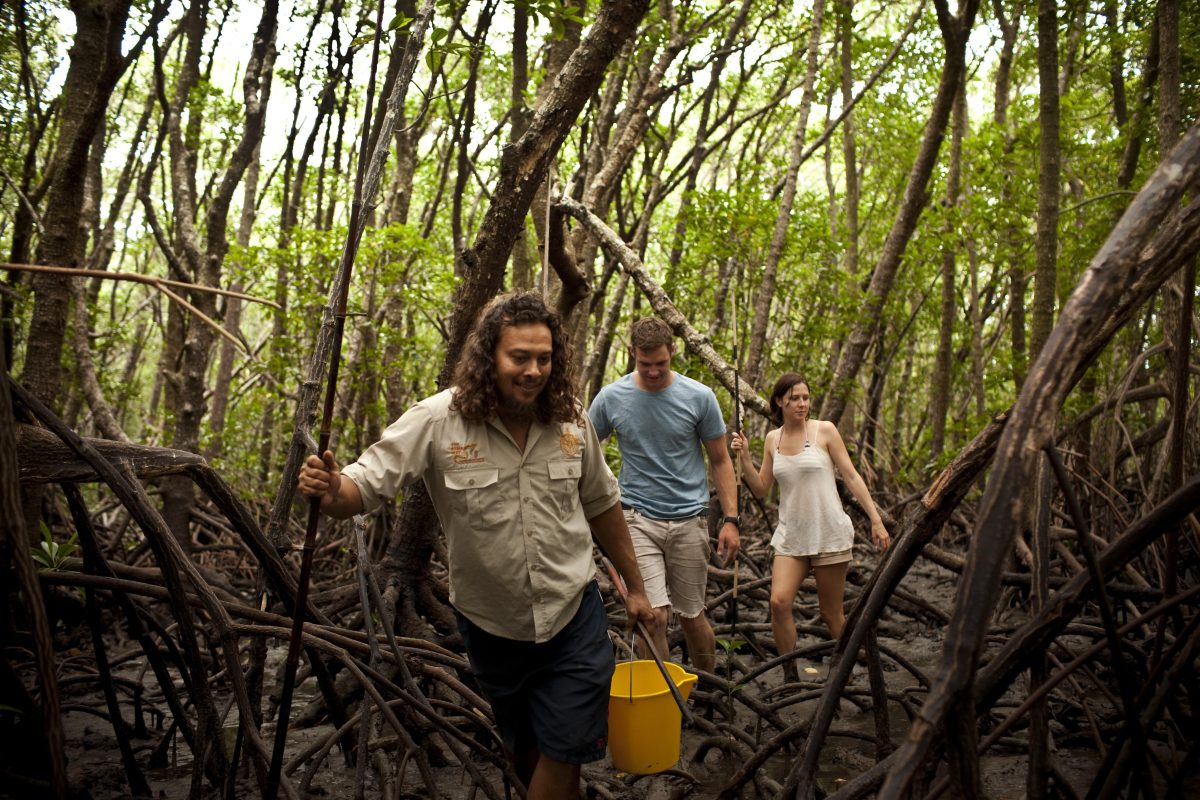 Galleria foto 'Australia, diario di un viaggio. Queensland (parte 5)' - foto 4