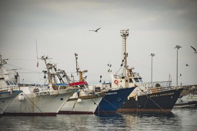 La crisi nera del settore ittico