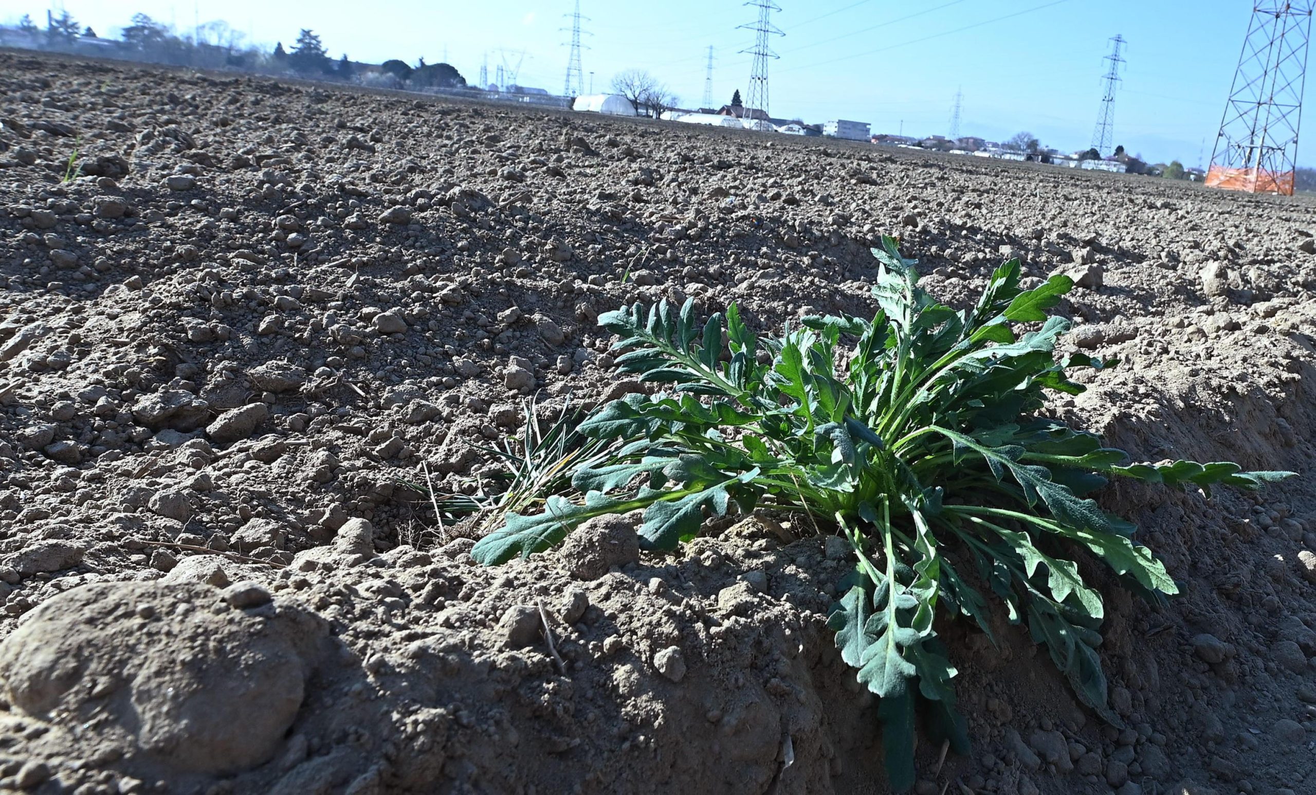 La scienza conferma; non esisteranno più le stagioni