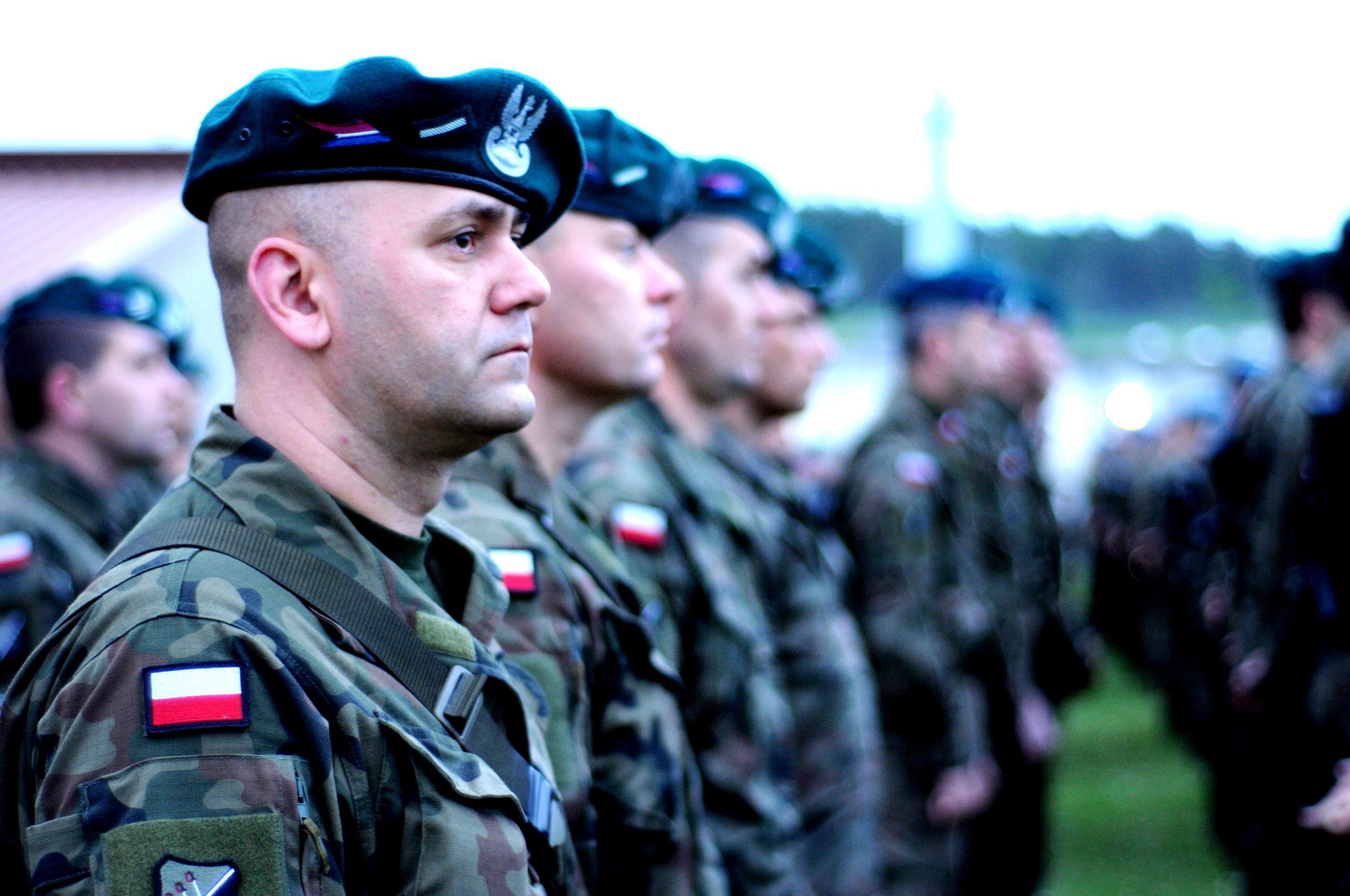 Polonia: la scelta delle armi Polonia: la scelta delle armi