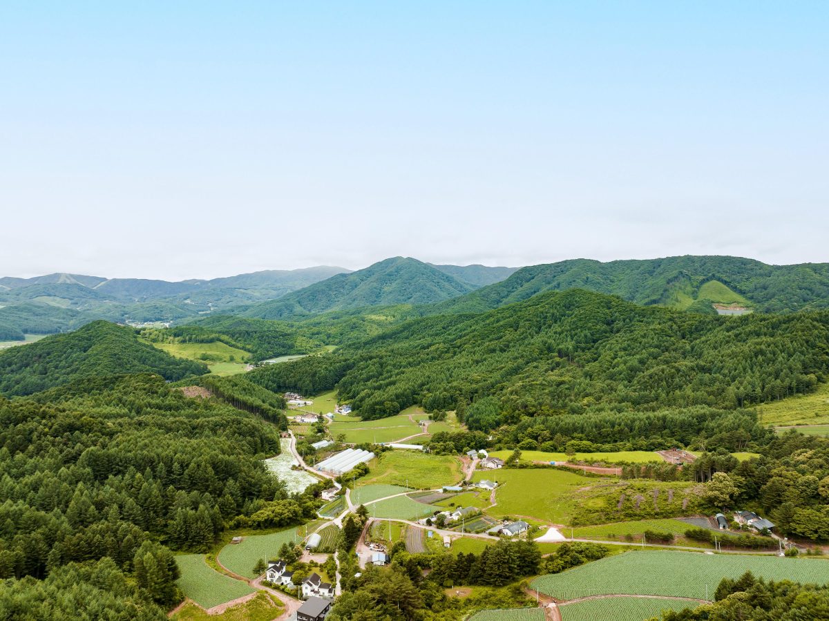 Galleria foto 'Un’estate da BTS con Airbnb' - foto 13