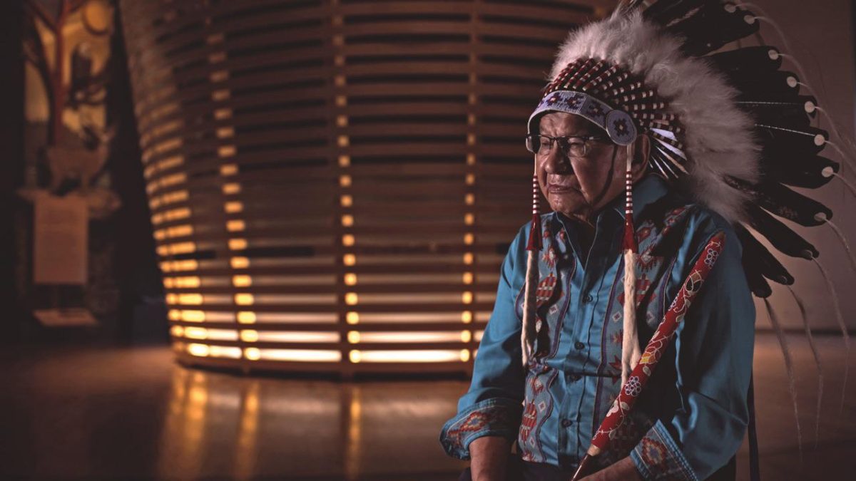 Galleria foto 'Rieducazione canadese' - foto 3