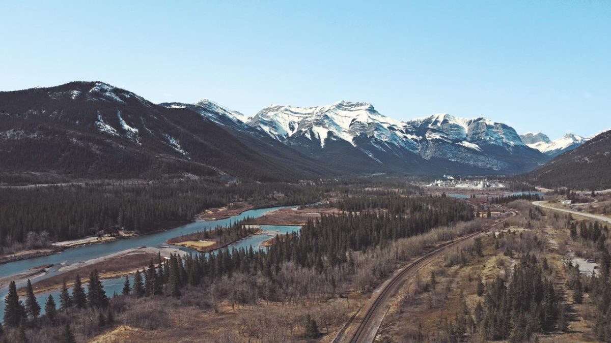 Galleria foto 'Rieducazione canadese' - foto 6