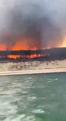 Incendio devasta la Gironda in Francia I video