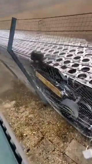 Silverstone, il drammatico incidente di Zhou ripreso dalle tribune I video