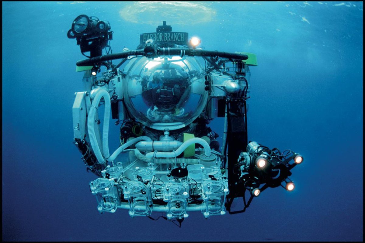 Galleria foto 'Cronache dagli abissi' - foto 2