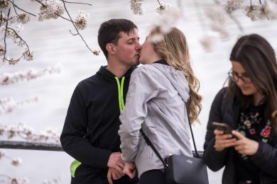 L’amicizia è una questione di odore