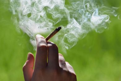I danni micidiali della cannabis «libera»