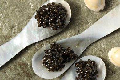 L’oro nero del Caspio al Lido di Venezia