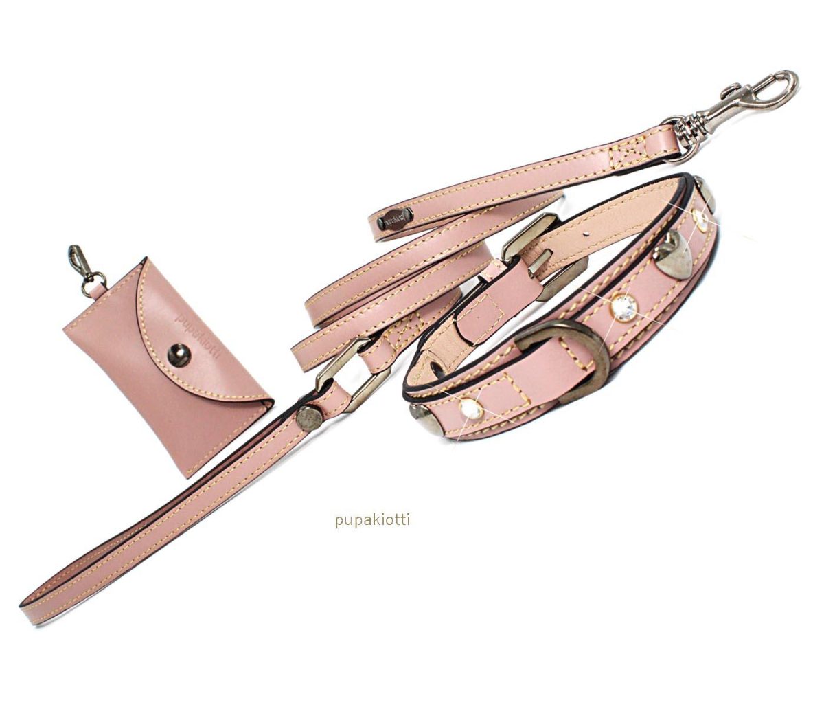 Galleria foto 'Amici a quattro zampe in festa, in barca e in viaggio con noi' - foto 16