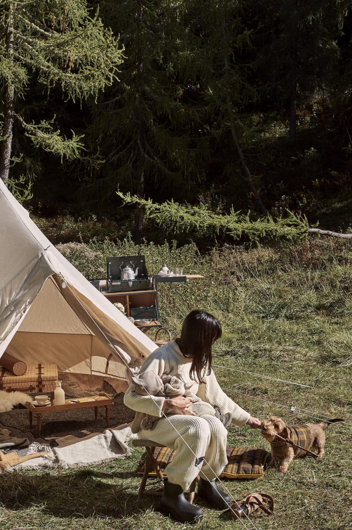 Galleria foto 'Amici a quattro zampe in festa, in barca e in viaggio con noi' - foto 22