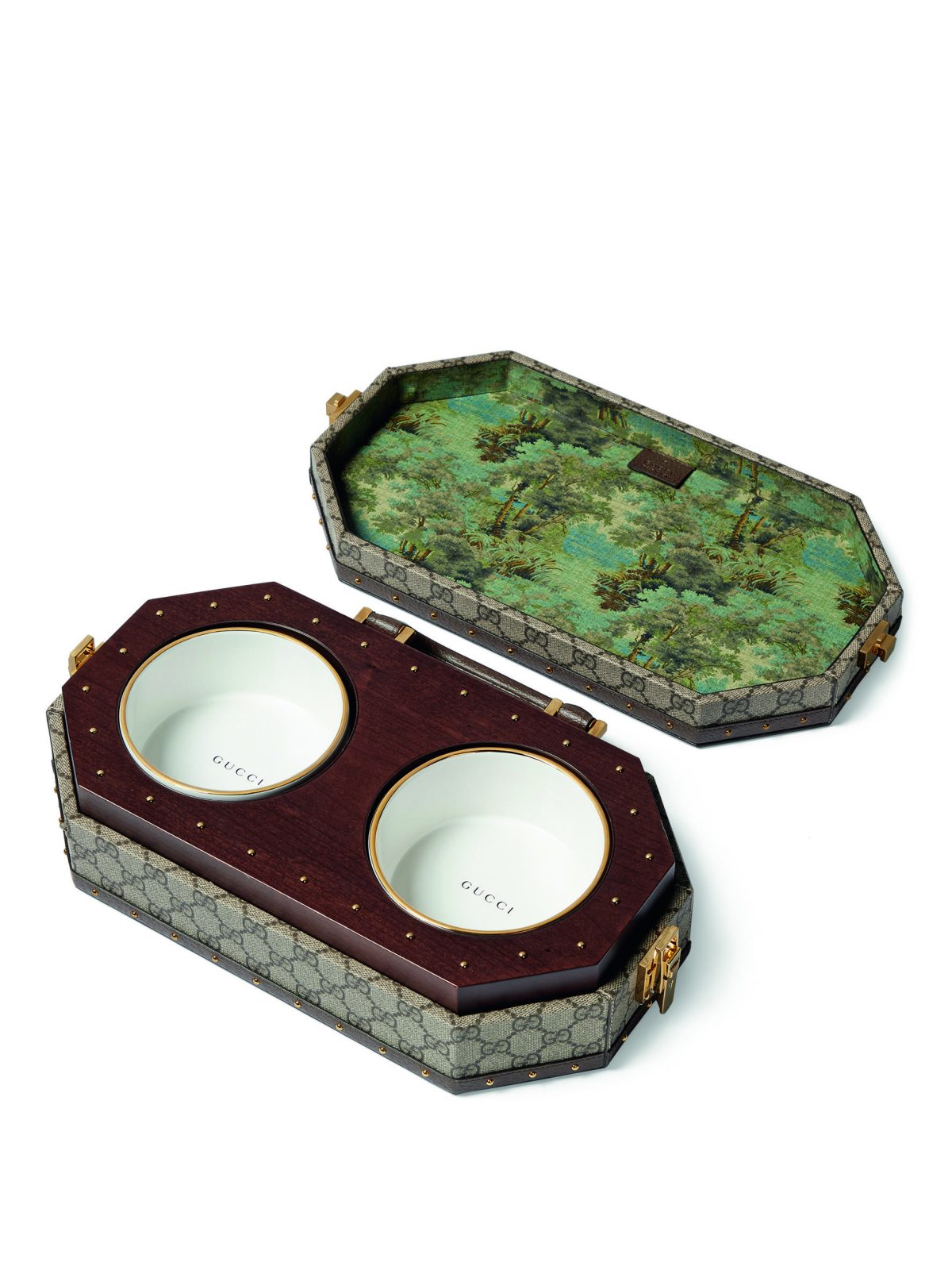 Galleria foto 'Amici a quattro zampe in festa, in barca e in viaggio con noi' - foto 6