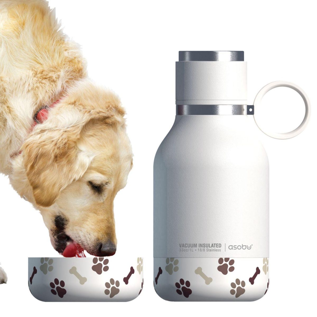 Galleria foto 'Amici a quattro zampe in festa, in barca e in viaggio con noi' - foto 12