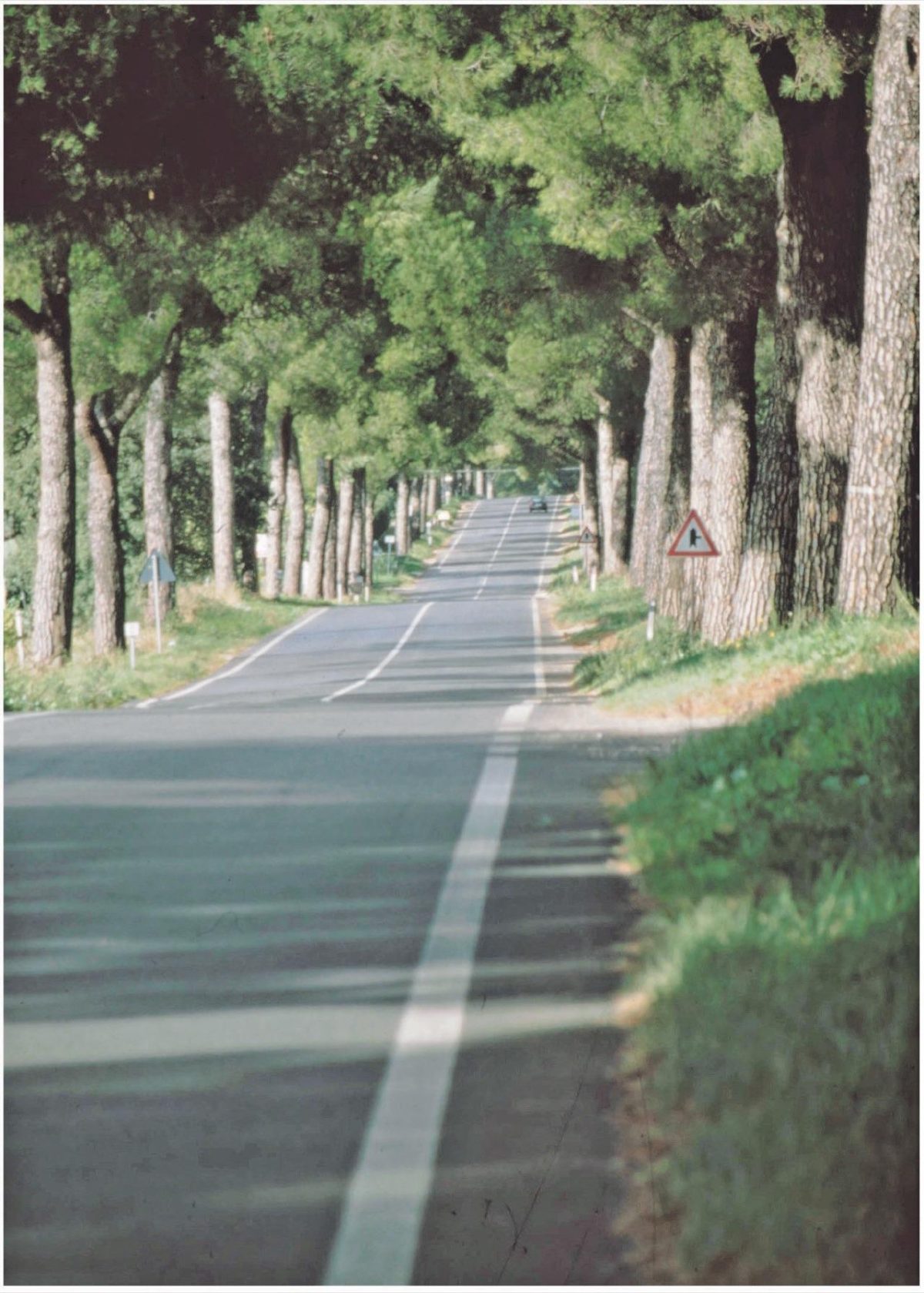 Galleria foto 'Sulle strade che raccontano un’Italia perduta' - foto 3