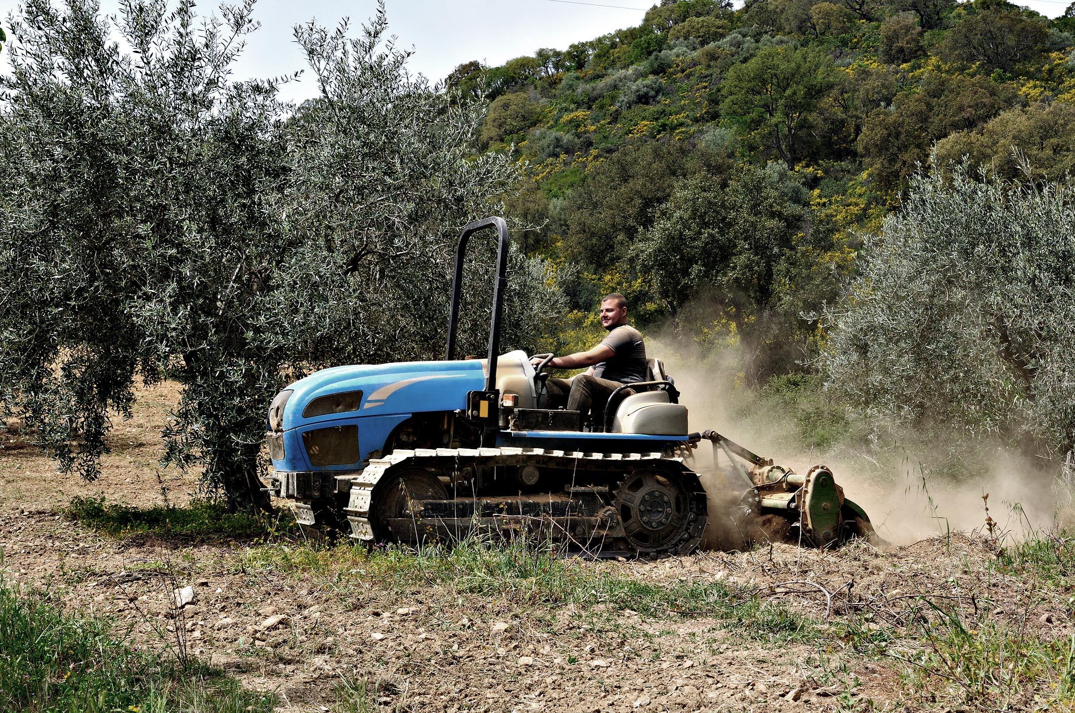 Annata record per l’export agroalimentare italiano
