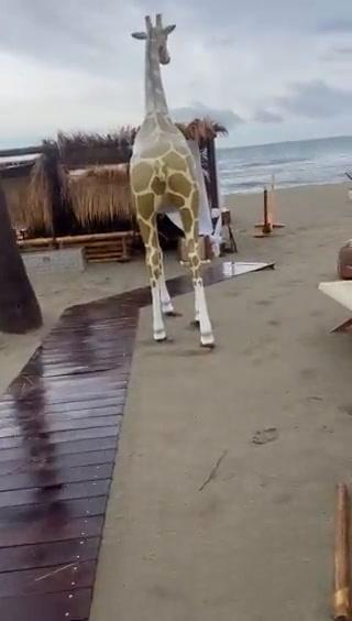 Maltempo, tromba d’aria devasta il Twiga I video