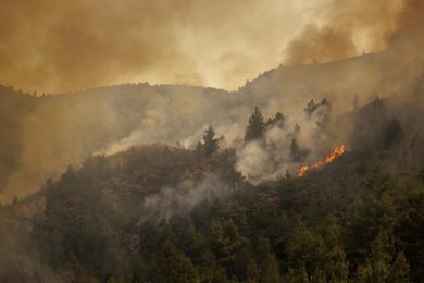 È stata l’estate degli incendi ma l’Italia brucia meno del 2021