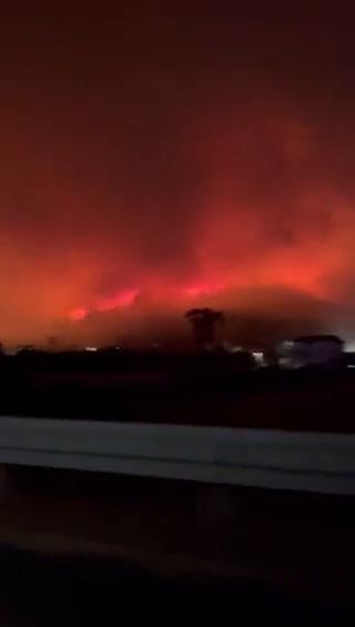 Incendio devasta i boschi di Albenga: case bruciate I video