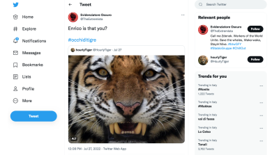 I meme più divertenti della campagna elettorale