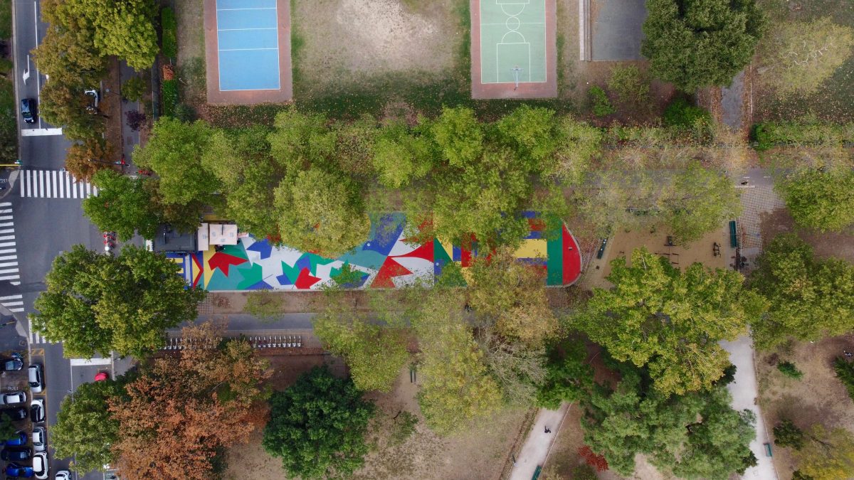 Galleria foto 'Il nuovo volto di parco Ravizza' - foto 3