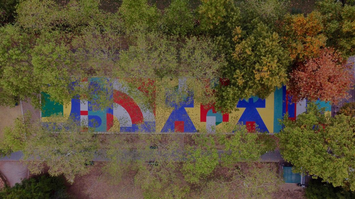 Galleria foto 'Il nuovo volto di parco Ravizza' - foto 6