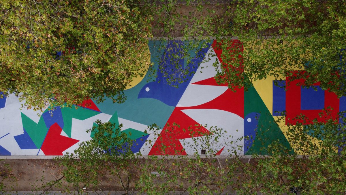 Galleria foto 'Il nuovo volto di parco Ravizza' - foto 8