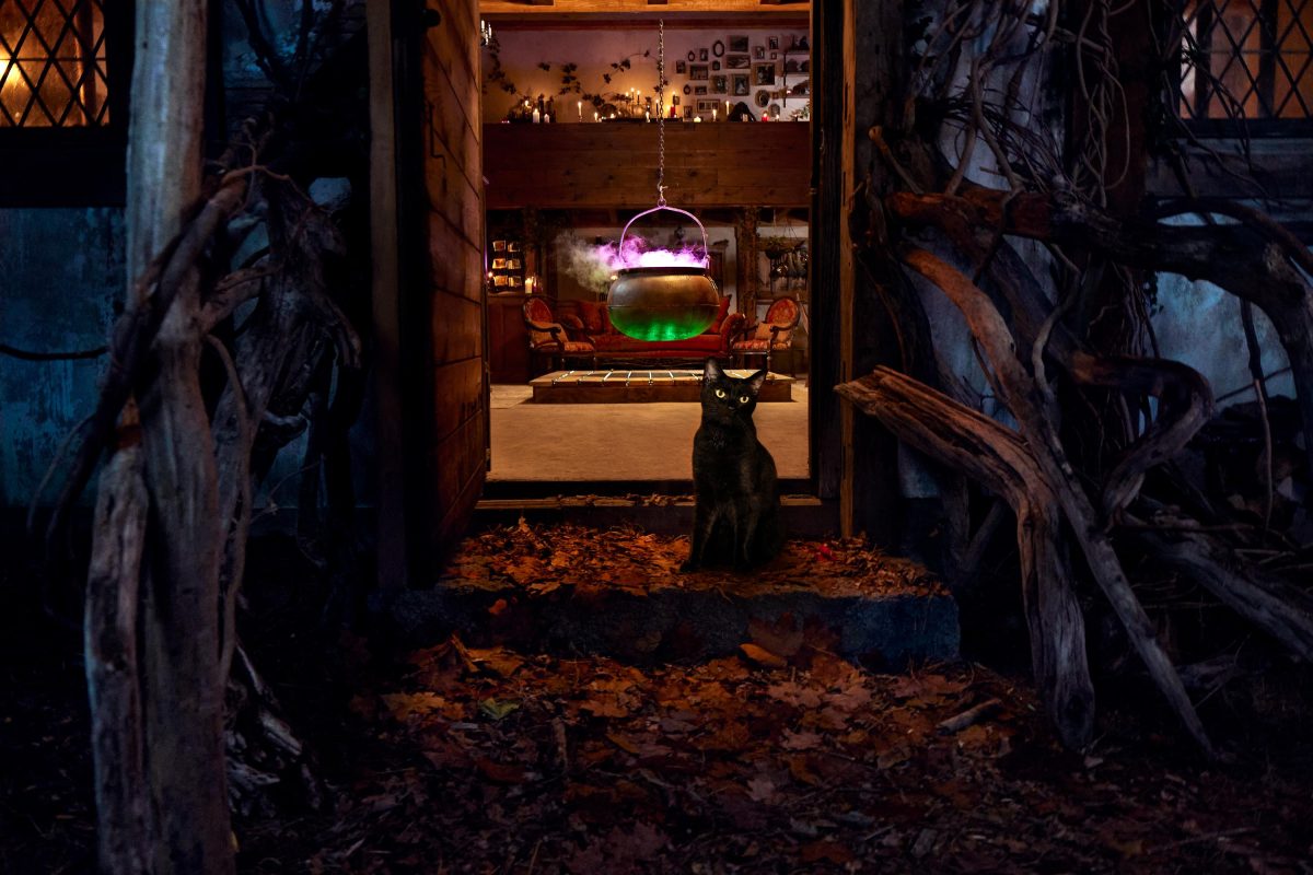 Galleria foto 'Una notte nel cottage di «Hocus Pocus»' - foto 2