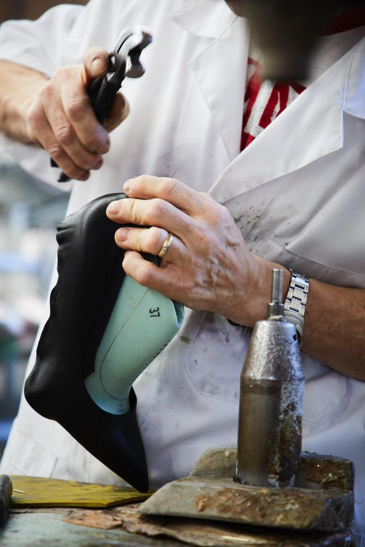 Galleria foto 'Alla conquista del mondo, su una «lama»' - foto 5