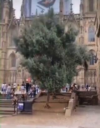 Barcellona, turisti russi deturpano cattedrale I video