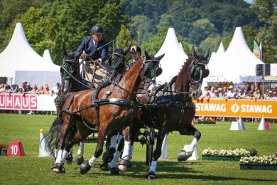 Cavalli, ostacoli e carrozze danno spettacolo ai Castelli Romani