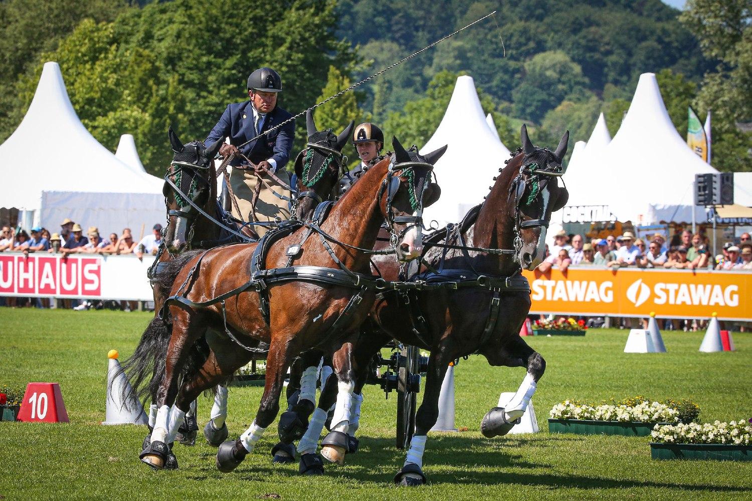 Cavalli, ostacoli e carrozze danno spettacolo ai Castelli Romani