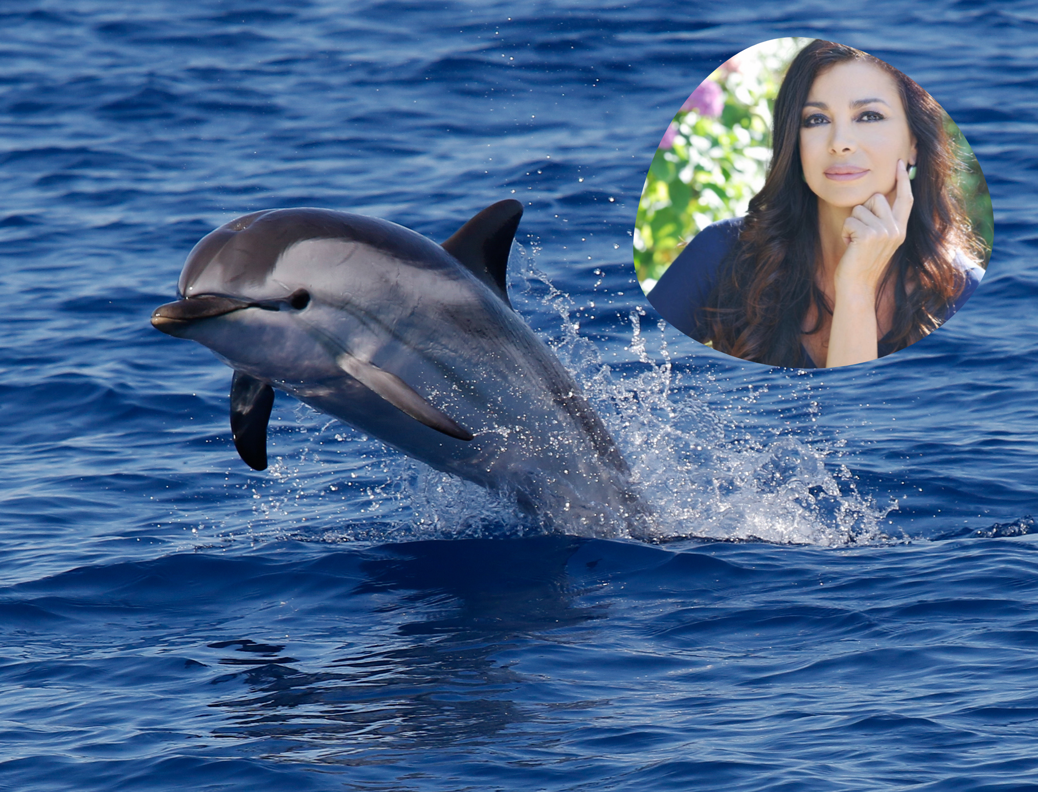 «Una balena in una conchiglia»: il corto di Triton debutta a Venezia