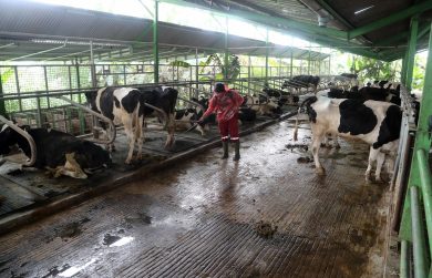 Sull’inquinamento si danno i numeri, a casaccio