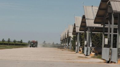 A Venezia, «Il buon lavoro che c’è», il corto di The Skill