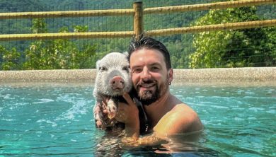 Pumba e gli altri Pet Influencer