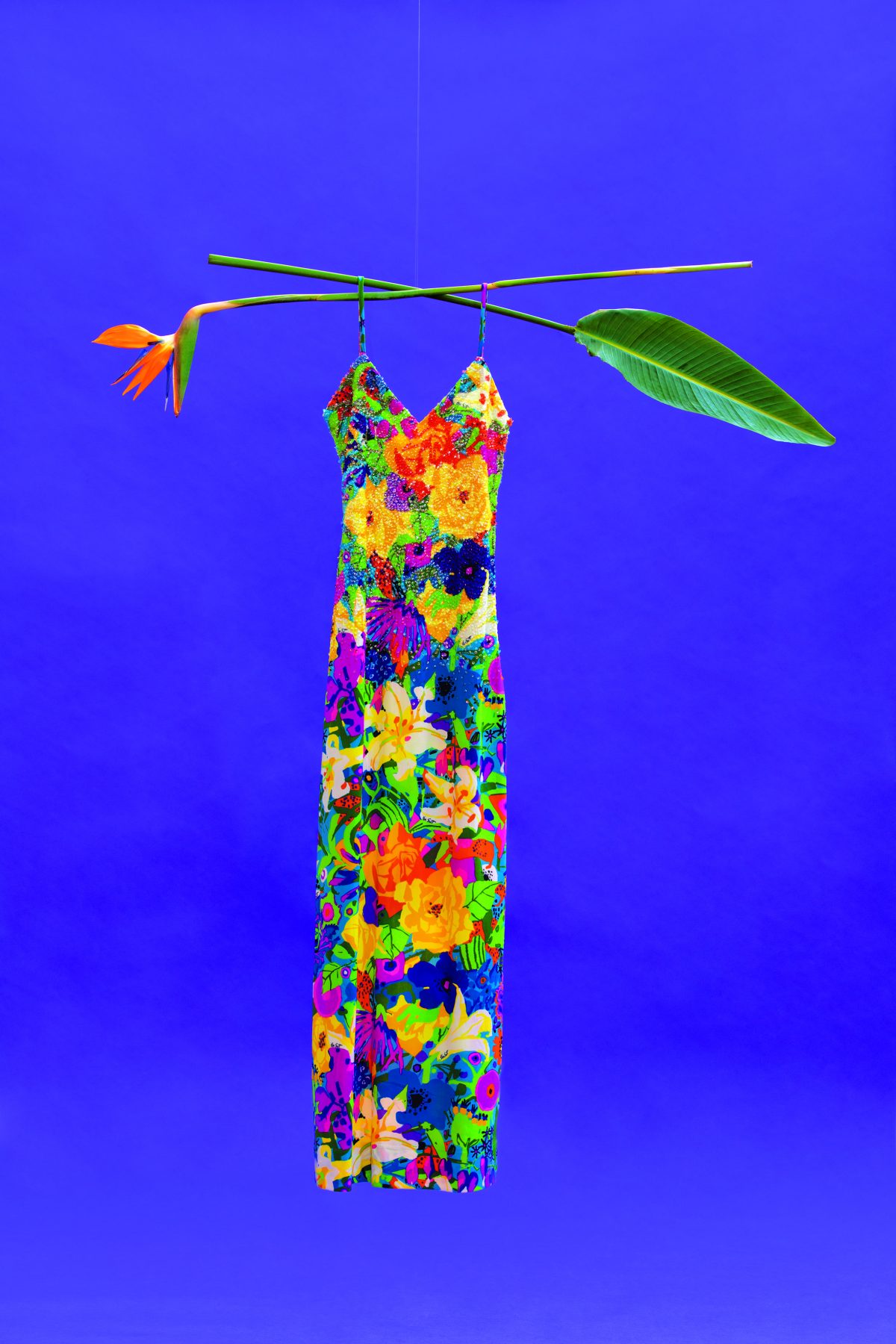 Galleria foto 'Ken Scott: in libreria la prima monografia dell’artista' - foto 7