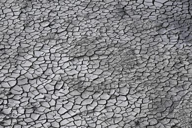 Le ondate di calore stanno rendendo invivibile parti della Terra