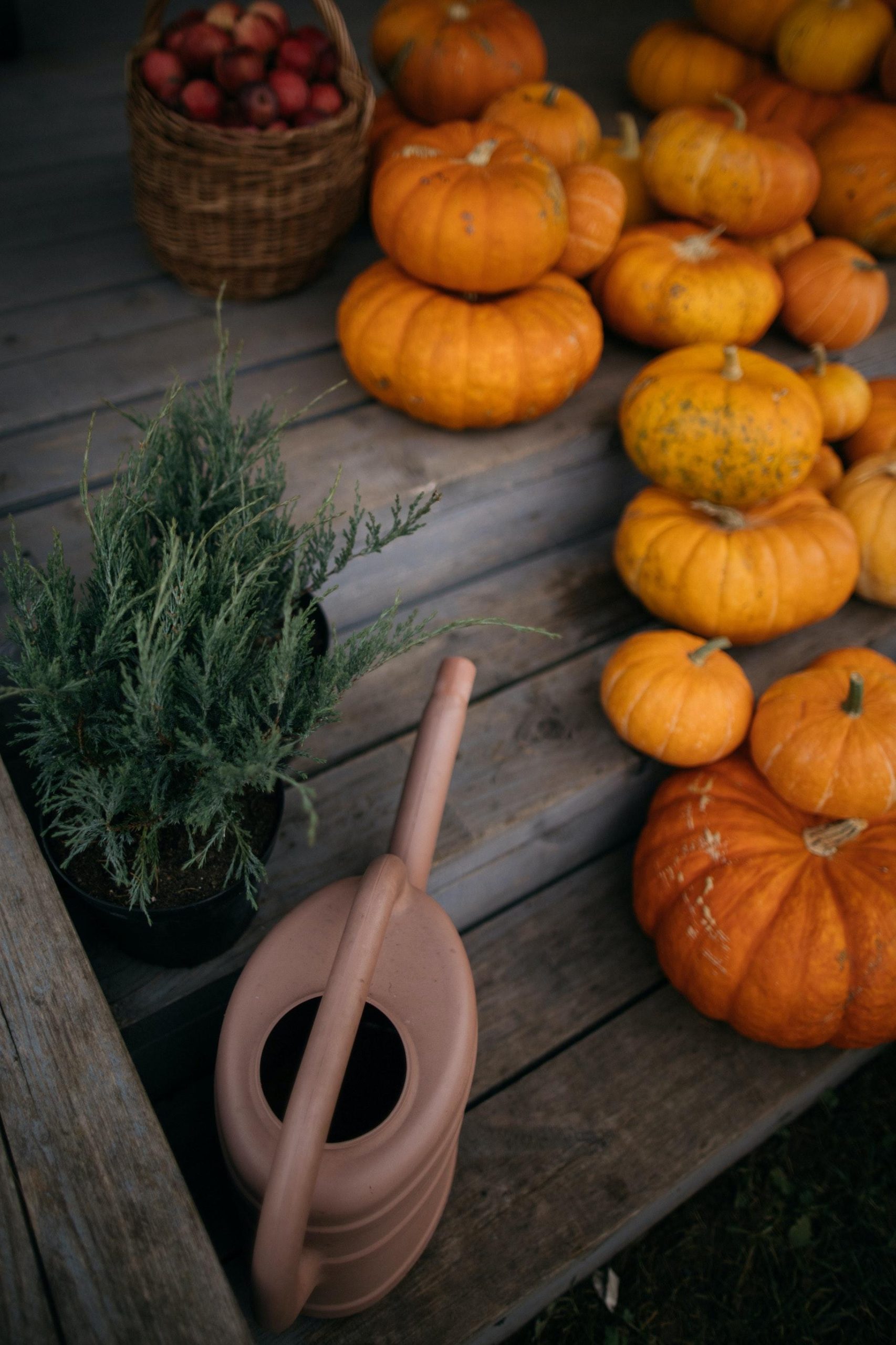 3 ricette «da urlo» per Halloween 3 ricette «da urlo» per Halloween