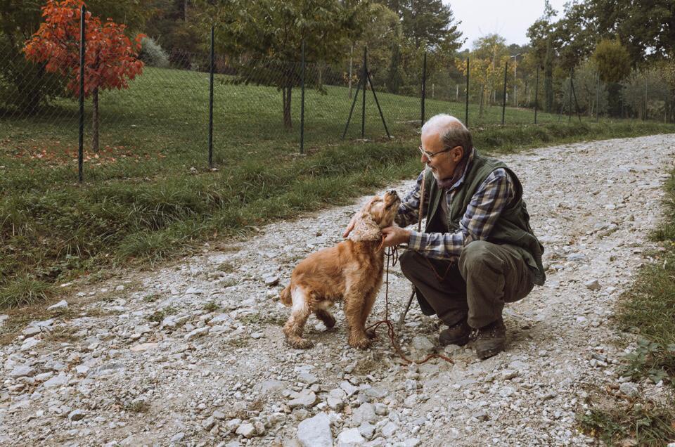 Leo, il cane cieco che trova i tartufi Leo, il cane cieco che trova i tartufi
