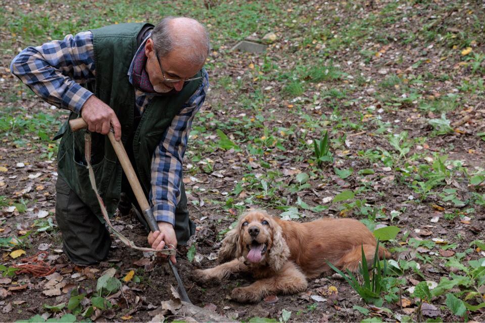 Leo, il cane cieco che trova i tartufi Leo, il cane cieco che trova i tartufi
