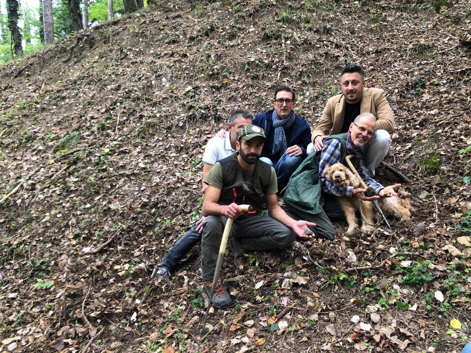 Leo, il cane cieco che trova i tartufi Leo, il cane cieco che trova i tartufi
