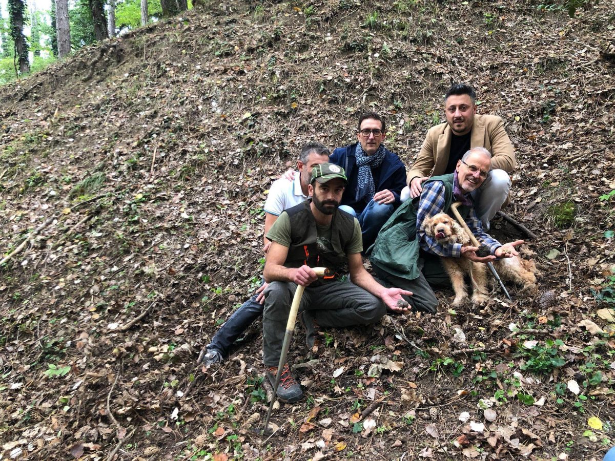Leo, il cane cieco che trova i tartufi Leo, il cane cieco che trova i tartufi